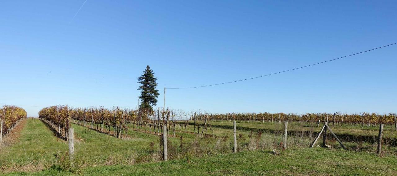 Le Clos de la Chataignère Villa Vérac Exterior foto